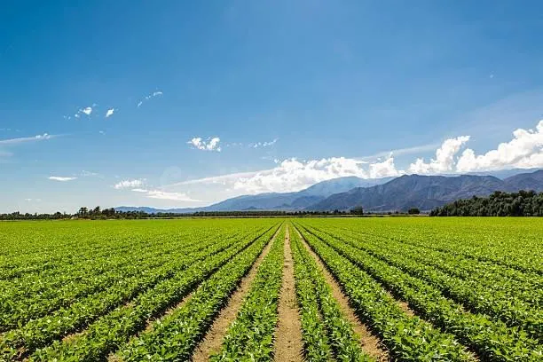 EN VENTA PARCELA EN MORAÑA