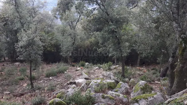Terreno en venta Fogueres de Montsoriu - foto 3