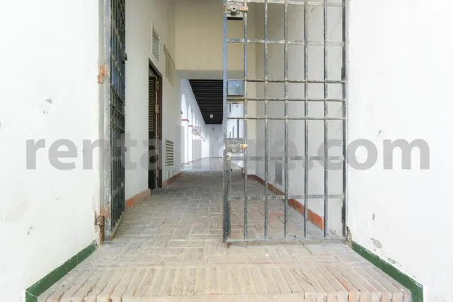 Loft 1 habitación 44m² en alquiler - Centro — 29