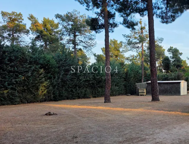 Chalet en venta en Segovia con piscina cubierta y 2.600 m2 — 29