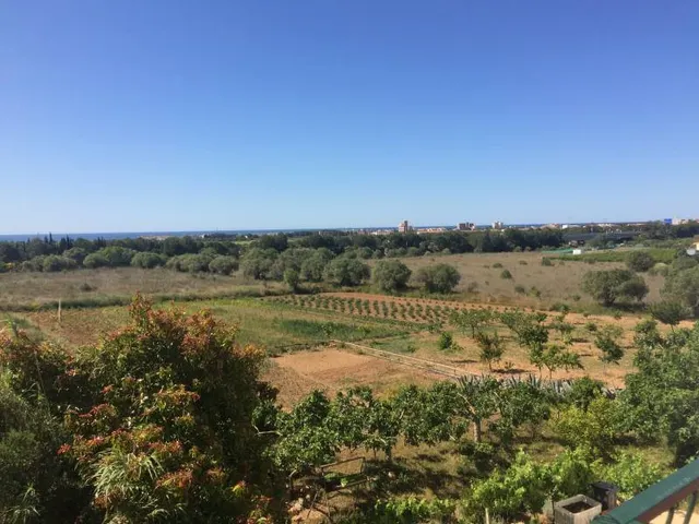 MASIA DEL 1960 CON 39000M2 DE TERRENO AGRICOLA AL LADO DEL MAR DE SANT SALVADOR — 19