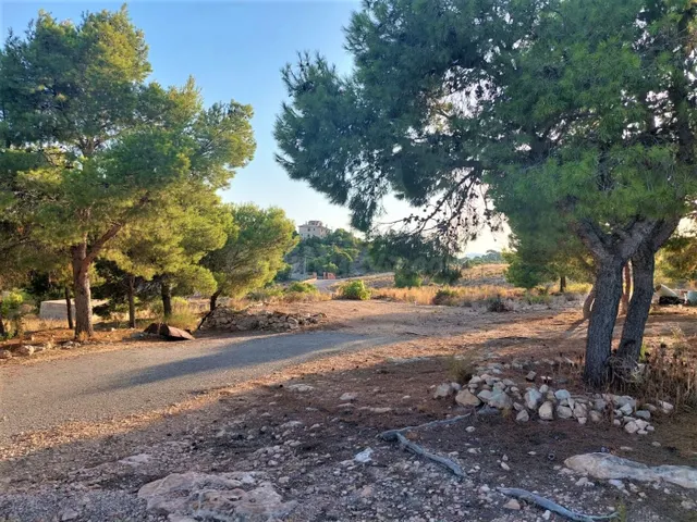 Se vende casa de campo (10.000 m2) en Crevillente 4 dormitor - foto 2