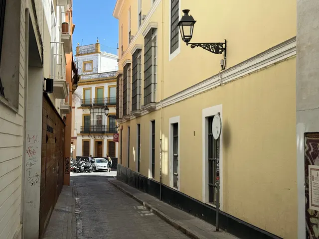 PISO DE LUJO EN BARRIO DE SANTA CRUZ — 28