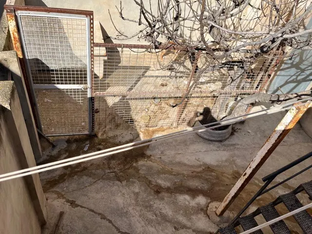 Casa 4 habitaciones 249m² en venta - San Roque — 17