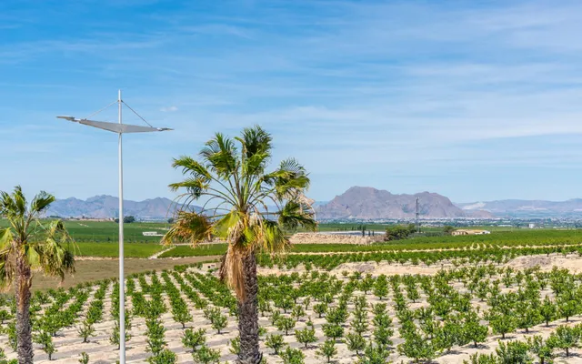 VILLA INDEPENDIENTE EN VENTA EN ALGORFA — 42