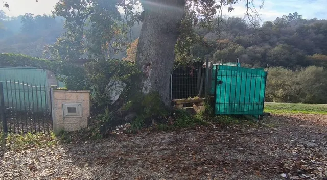 Casa con encanto de 1933 para rehabilitar, finca cerrada y pozo de manantial | valdesoto, Siero — 6