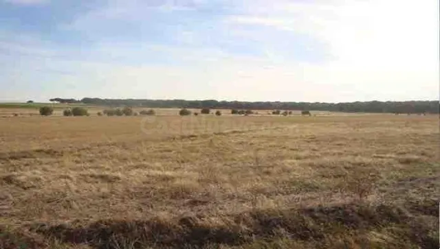 VENTA DE SUELO RUSTICO EN LA ZARZA - foto 4