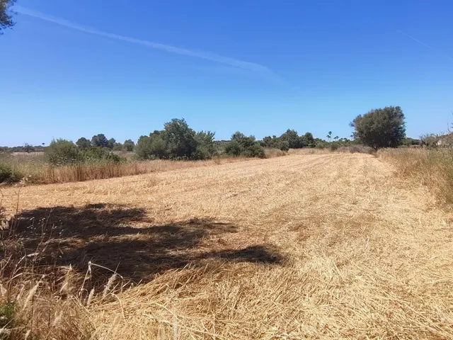 ✨ OPORTUNIDAD EN PLENA NATURALEZA – CAMÍ DE SON ROIG, A 3 KM - foto 3