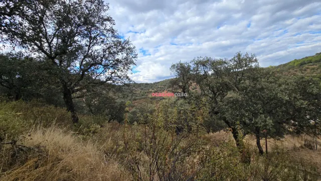 FINCA RUSTICA CON VIVIENDA — 10