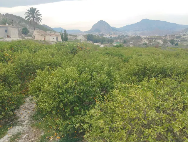 ¡Descubra una oportunidad única en el corazón del Valle de Ricote! — 5