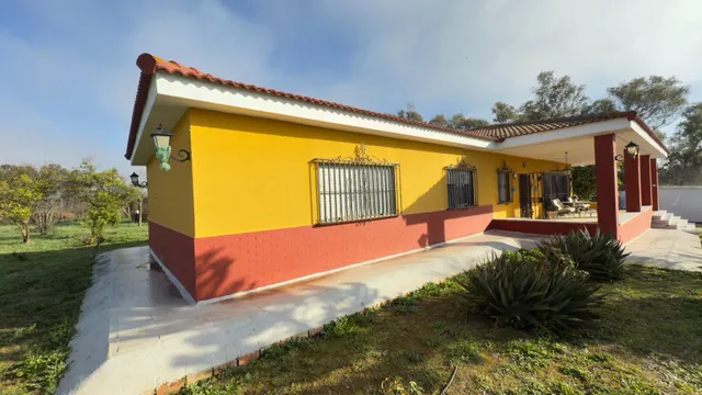 FINCA RUSTICA DE 32.000 M2 EN GIBRALEÓN CON CASA — 4
