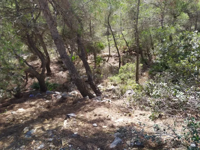 TERRENO EN LA COGULLADA (CANYELLES) — 3