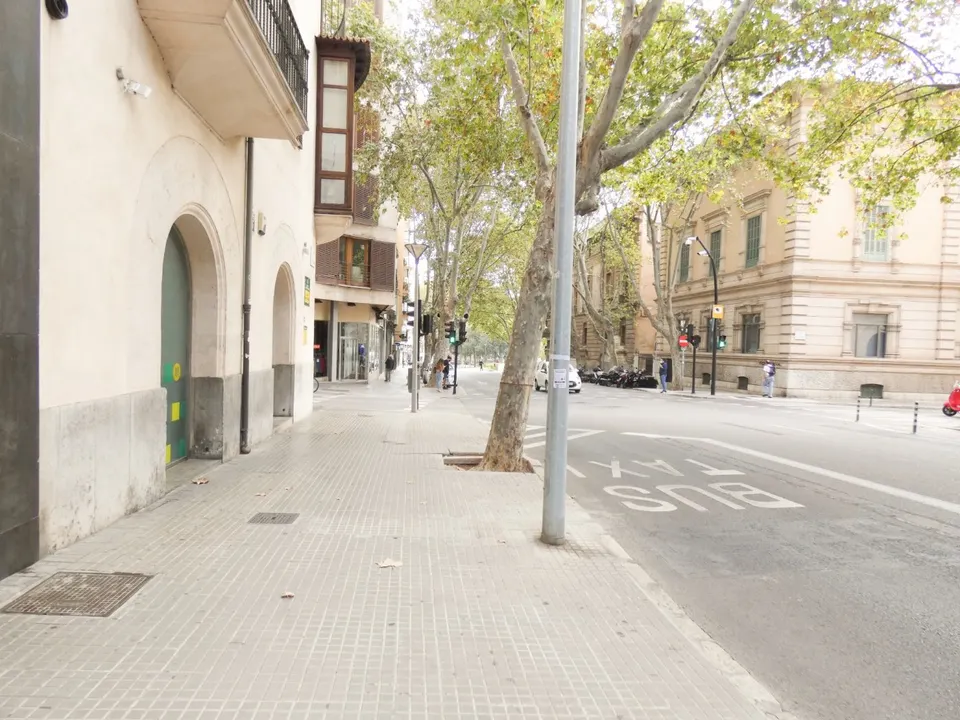 Aparcamiento en zona Plaza Patines, Palma