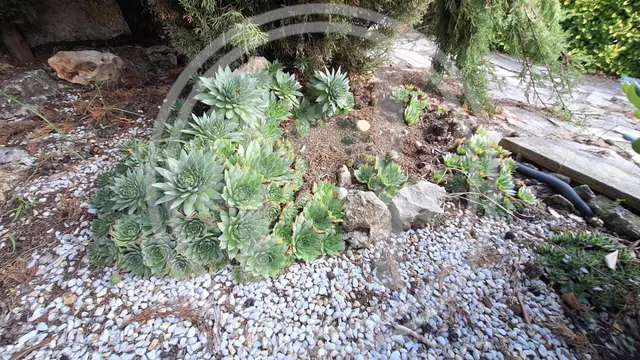 Tu refugio junto al montseny: naturaleza, piscina y un hogar con infinitas posibilidades — 34
