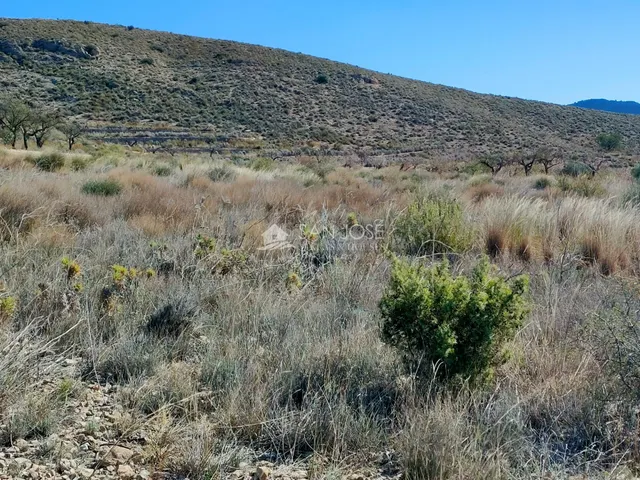 SE VENDE PARCELA EN LA SOLANA DE HONDON DE LOS FRAILES — 5