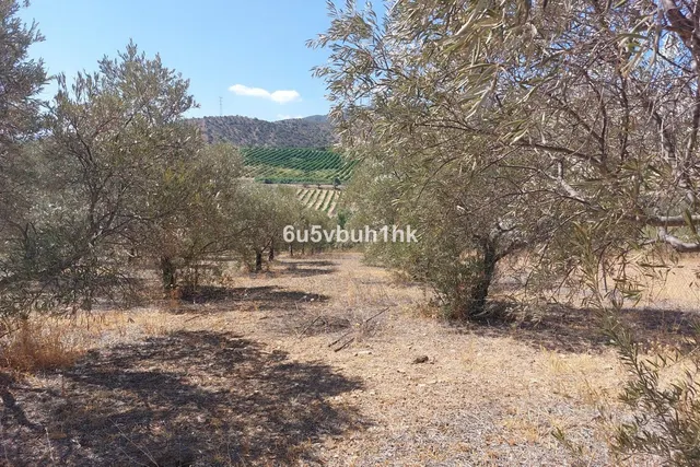 Parcela en venta - Alora pueblo — 12