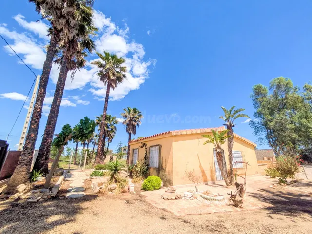 FINCA RÚSTICA VALLADA EN AMPOSTA ZONA ULLALS DE BALTASAR - foto 2
