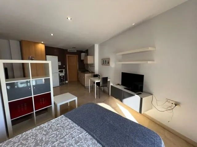 ALQUILER DE ESTUDIO EN JUAN CARLOS I, AMUEBLADO, JUNTO HACIE - foto 4