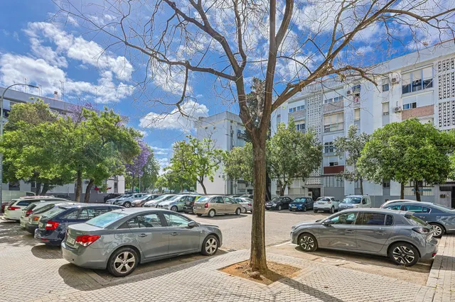 4 Dormitorios con Terraza y Trastero en San Pablo — 98 m2 - foto 4
