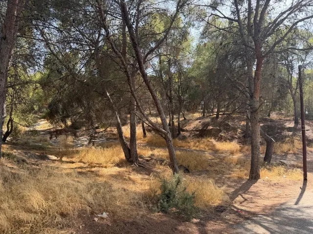 Amplia Parcela en La Alberca, Murcia - Oportunidad Única por - foto 4