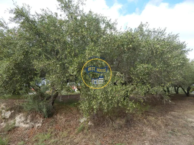 OPORTUNIDAD CASA DE CAMPO EN ONTINYENT EN UNA SOLA PLANTA — 6