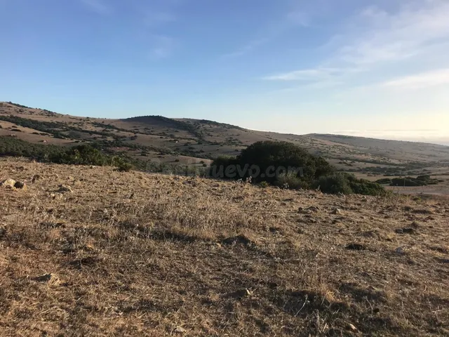 Se vende parcela en Bolonia - foto 5