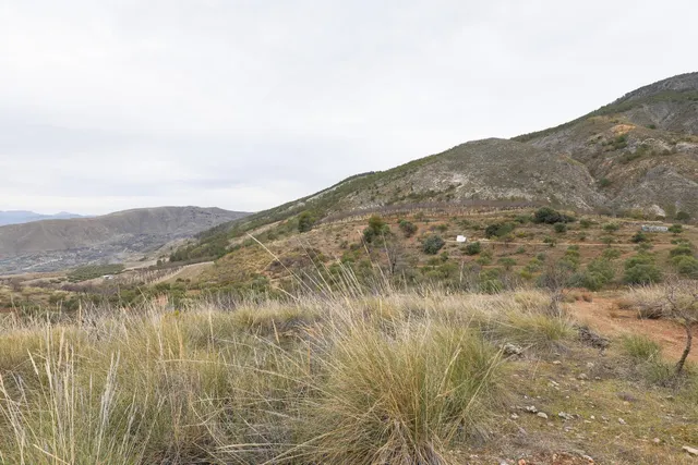 Magnífica finca de 400 olivos en Monachil — 14