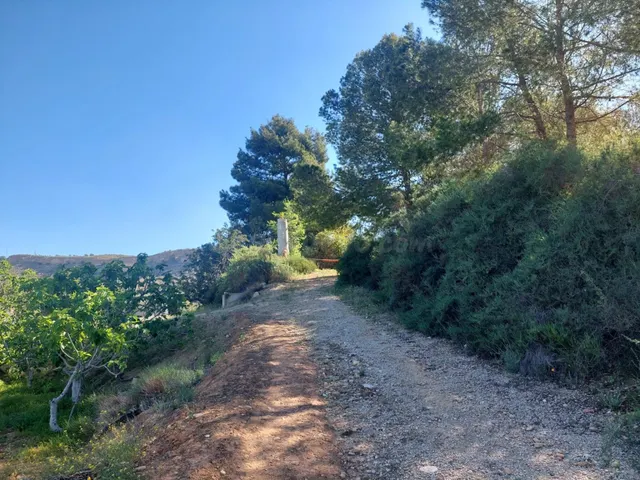 Se vende parcela con casa cueva - foto 3