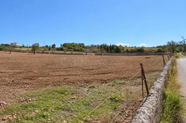 Finca rústica con posibilidad de vivienda en Ariany — 4