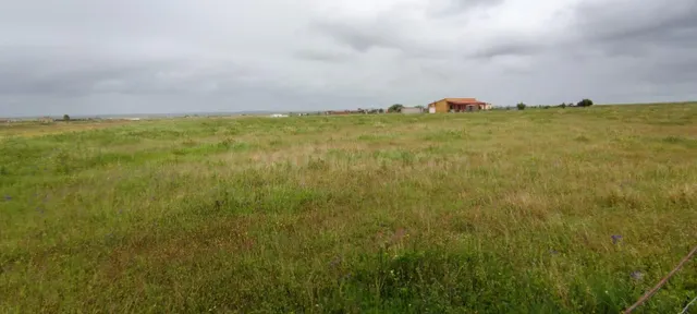 ¡¡Terreno rural de 47000 m2 en Sierra de Fuentes!! - foto 3