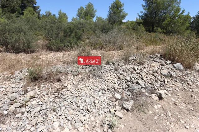 PARCELA AGRARIA CERCANA A LA POBLA DE VALLBONA-CASABLANCA - foto 5