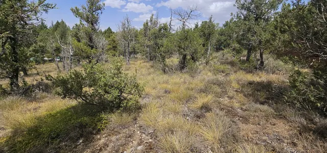 Solar residencial en Venta en Duruelo Segovia — 9