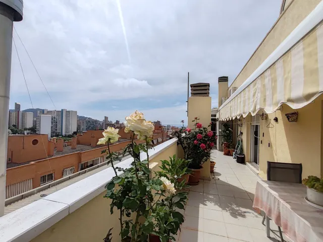 Piso 3 habitaciones 112m² en venta - Pueblo Levante — 12