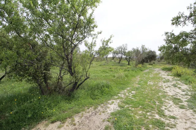 FINCA EN CORTIJO SAN JERÓNIMO (BARTODANO) — 45
