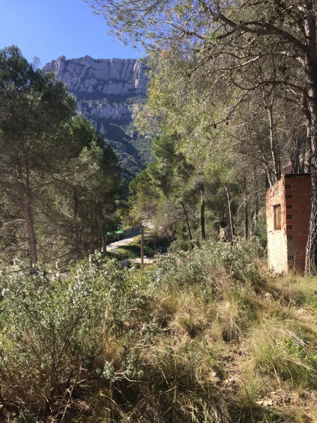 PARCELA EN VENTA EN MONISTROL DE MONTSERRAT - foto 4