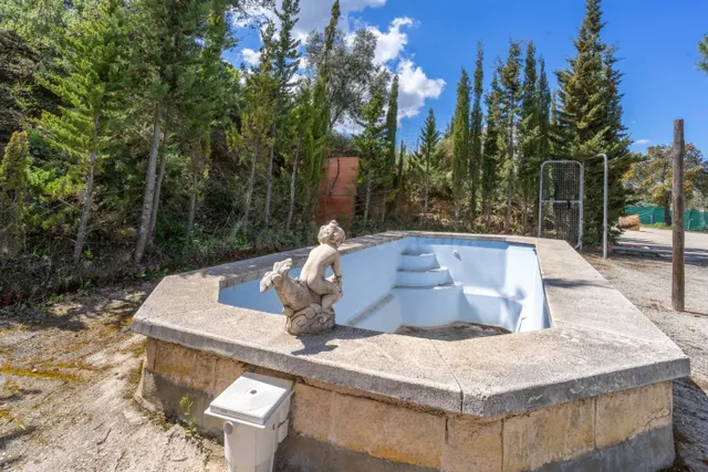 CASA RÚSTICA EN LOS MONTES DE MÁLAGA CON 150000 M2 DE TERREN - foto 4