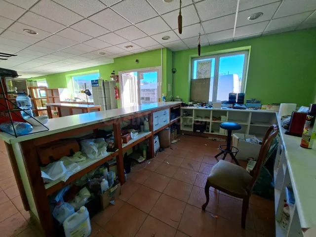 Oportunidad de Inversión: Nave Industrial con Anexo Habitaci - foto 4