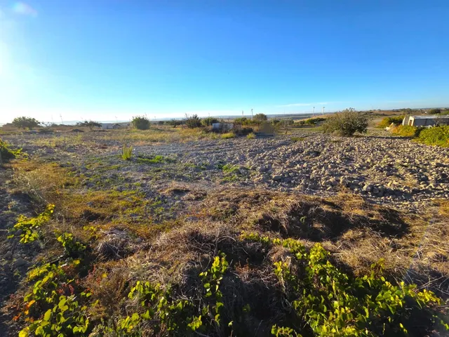 Parcela segregada de 2.235 m/2  en el marquesado con cuarto de aperos y pozo – Chiclana de la Frontera — 13
