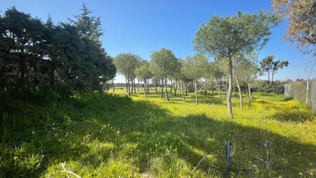 Terreno rural 10m² en alquiler - San Nicasio
