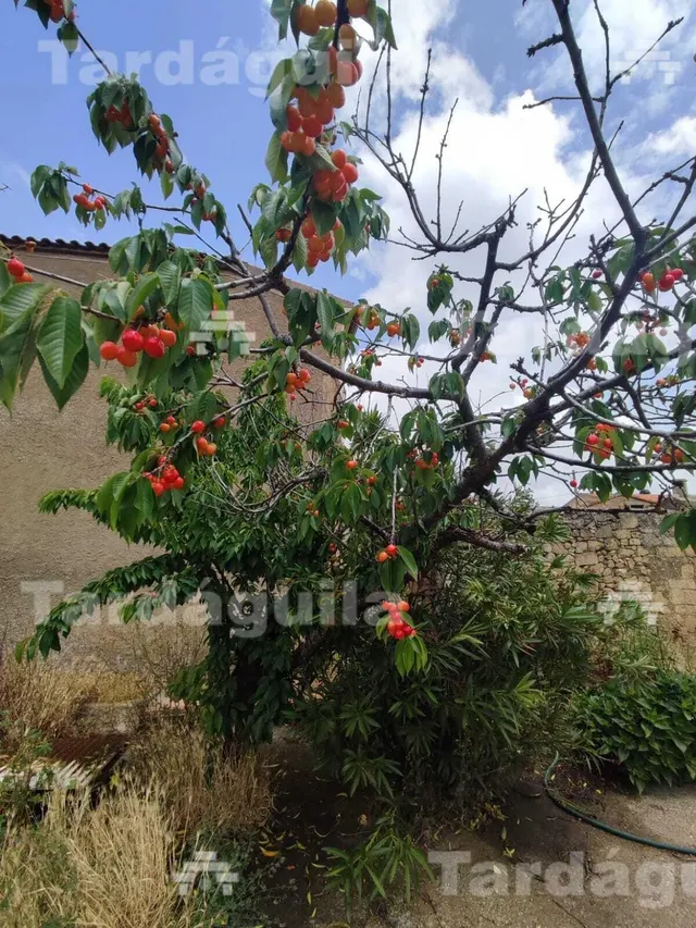 PRECIOSA Y AMPLIA CASA DE PIEDRA EN SAN MUÑOZ. — 33