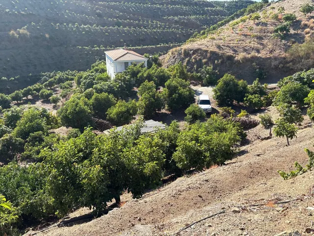 Finca rústica con cultivos y pozos propios en Vélez-Málaga — 11