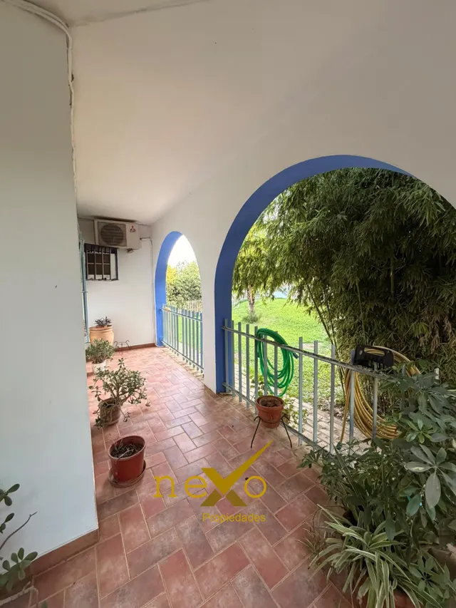 GRAN CHALET LOS FRUTALES DEL ALCOR — 29