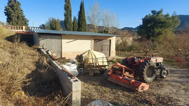 TERRENO RÚSTICO CON PLANTACIÓN FRUTAL Y ALMACÉN - foto 3