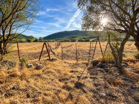 Finca rústica de 2,6 hectáreas en Alcalá de los Gazules – Amplio terreno con múltiples posibilidades.