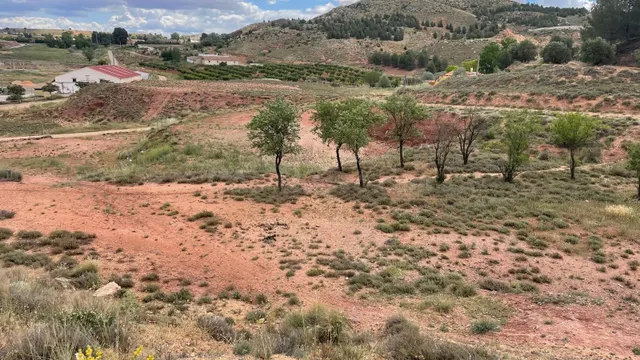 Se vende parcela de terreno rústico pegado al pabellón polid - foto 3