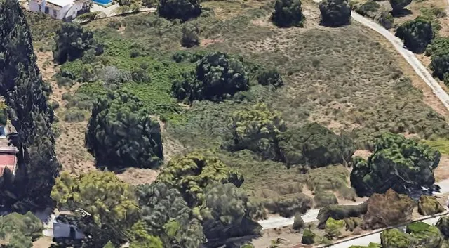 PARCELA PARA HACERTE LA CASA DE TUS SUEÑOS CON PROYECTO DE OBRA — 2