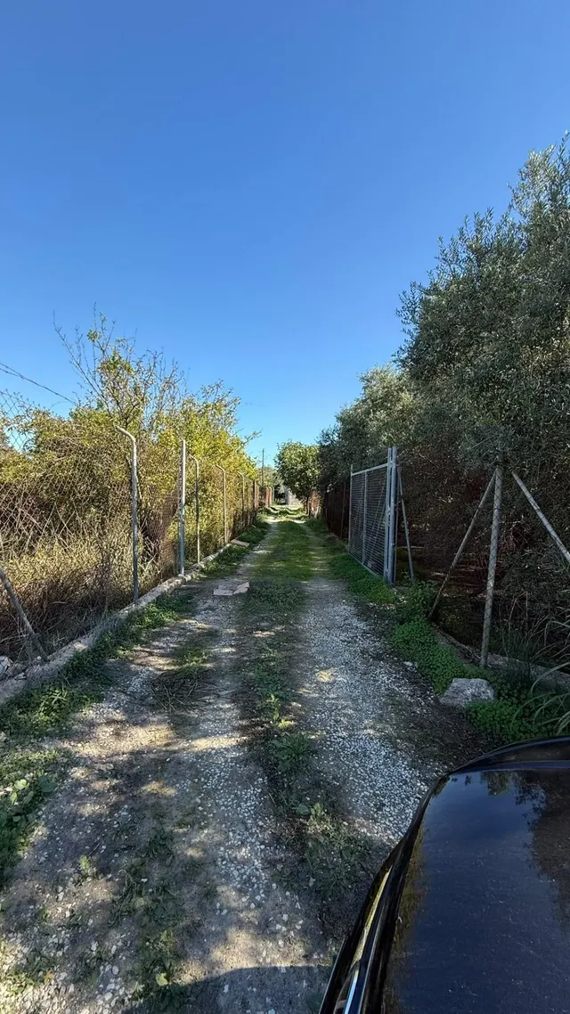 Oportunidad de Inversión en Terreno Rústico - La Alberca, Murcia — 2