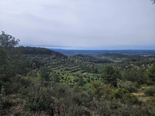 Terreno rural 5m² en venta - Area de granadellas cervia - foto 4