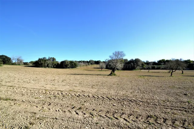 Terreno edificable en Llubi. - foto 5