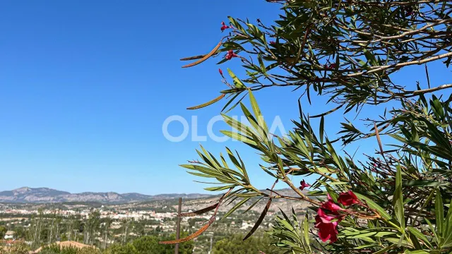Exclusiva Casa de Campo en la Devesa, Ibi - Un Refugio de Lujo — 36